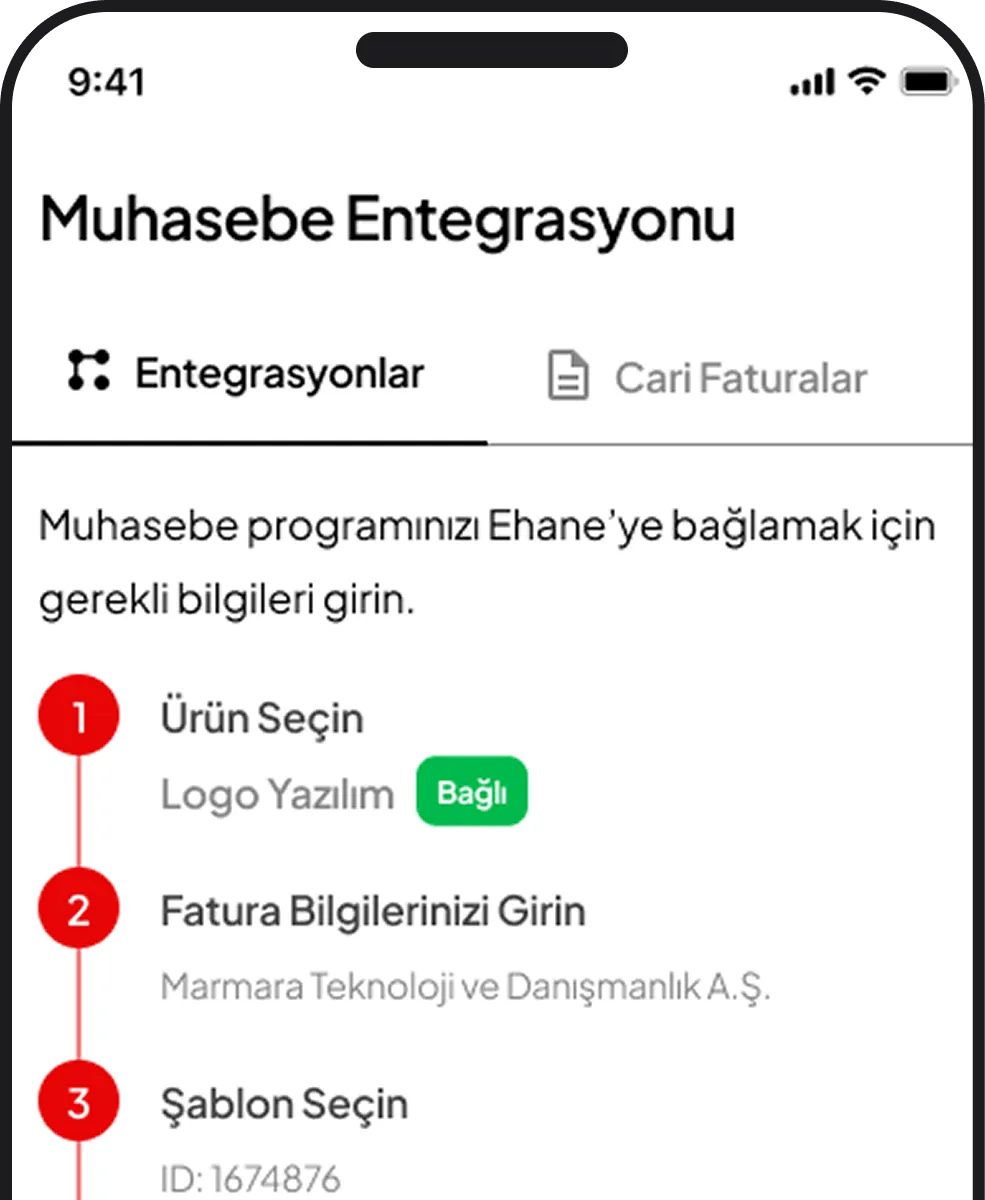 Muhasebe Entegrasyonu